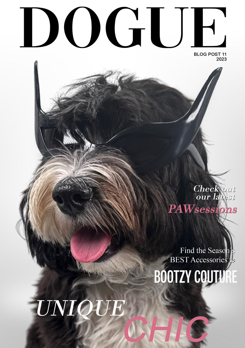 PAW sessions ..... – Bootzy Couture