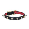 best dog collars made in usa