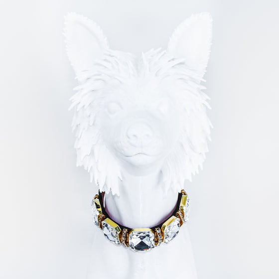Top designer dog collars
